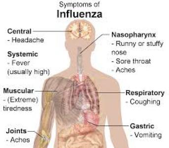 Influenza - OEK: egy ht alatt megduplzdott a betegek szma