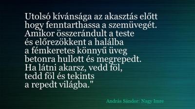 Andrs Sndor - Nagy Imre