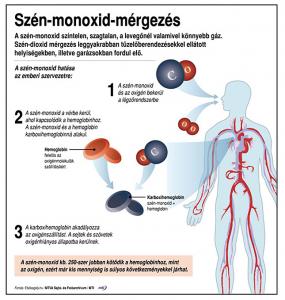 Szn-monoxid kerlt a soproni laksba